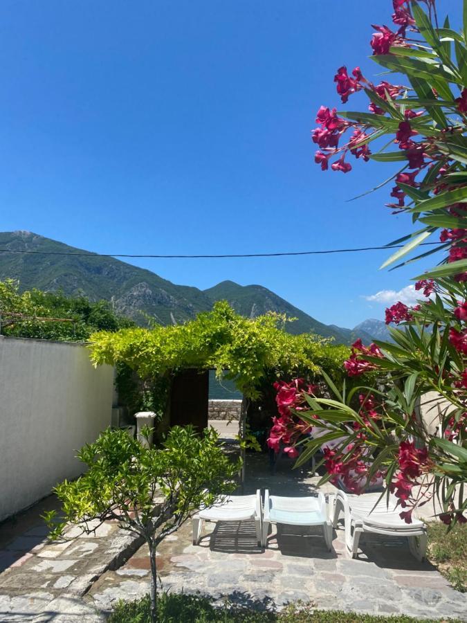 Mansarda Apartment Kotor Exterior foto